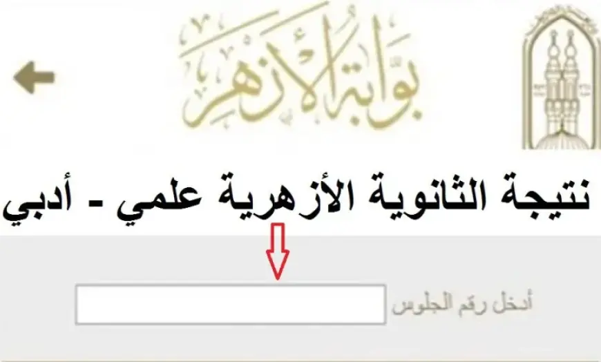 “هنا” طريقة الإستعلام عن نتيجة الثانوية الأزهرية 2025 برقم الجلوس في ثواني