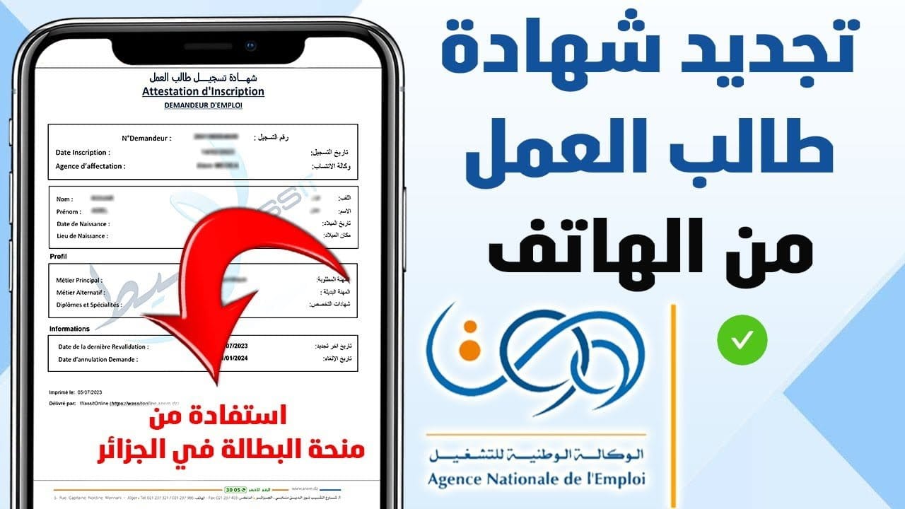 قبل ما القبض يتلغي .. خطوات تجديد منحة البطالة الجزائرية anem.dz في جميع المحافظات