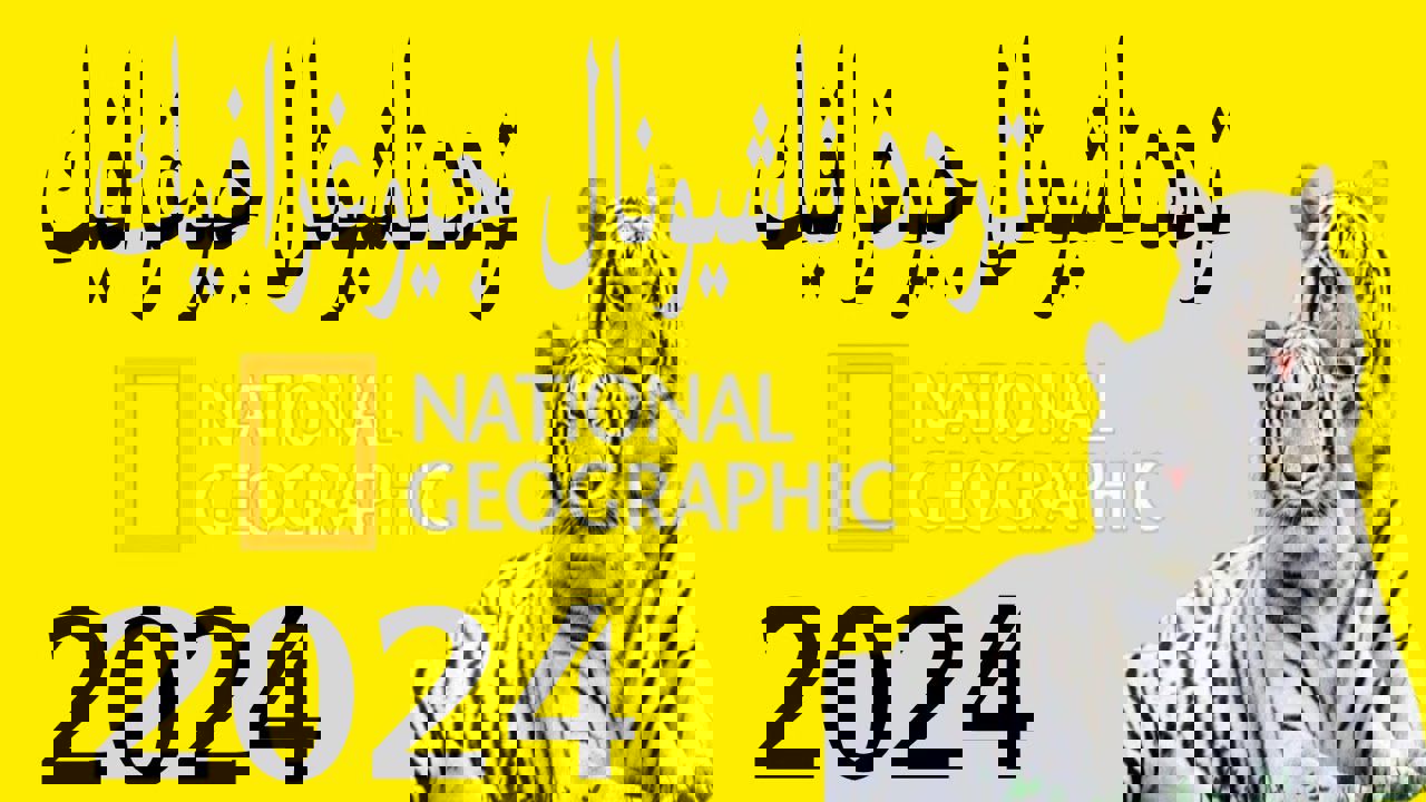 نزل تردد ناشيونال جيوغرافيك ابو ظبي واتفرج على أجمل برامج الحياة البرية