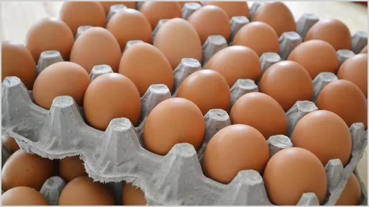 ما هي حقيقة ارتفاع أسعار البيض في السعودية؟ .. إليك اسعار اليوم الاربعاء 16 اكتوبر
