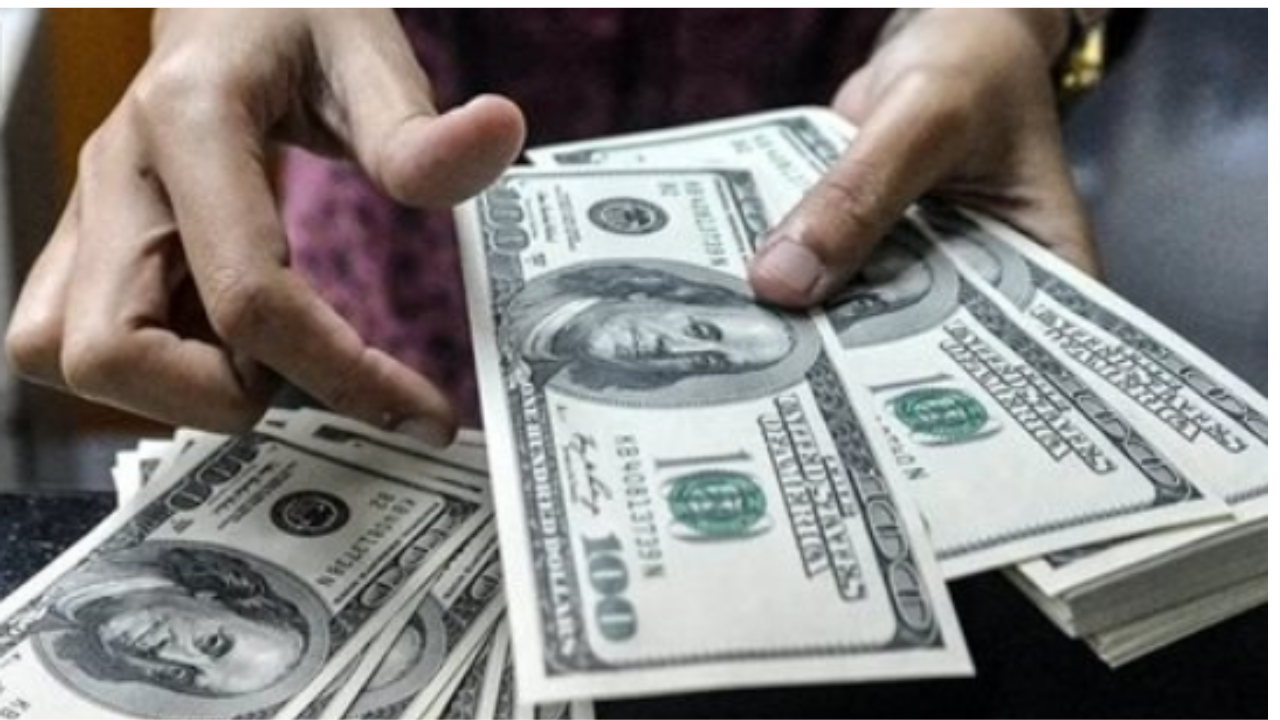 أسعار الدولار أمام الجنيه اليوم الأحد 24-11-2024