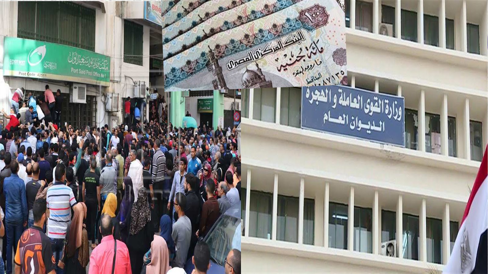 رسميا صرف منحة القوى العاملة 1000 جنية ” الدفعة الأولي يناير 2025″ استعلم عن شروط اللازمة