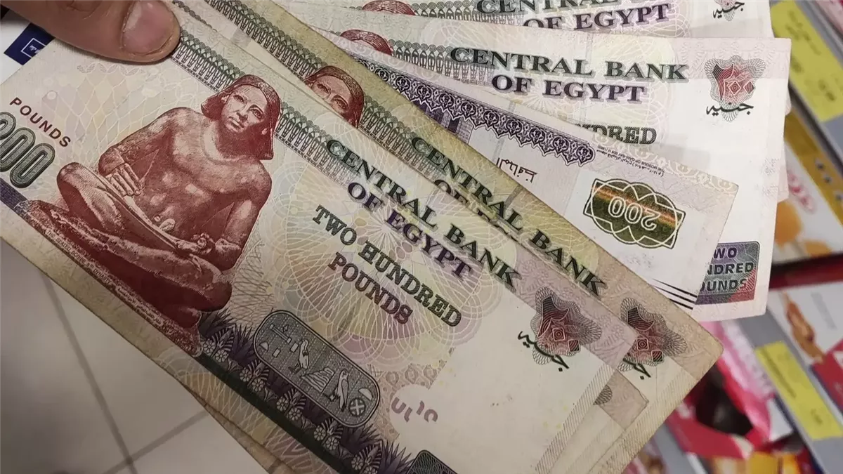 طريقة الإستعلام عن معاش تكافل وكرامة بالرقم القومي 2025 شوف المستفيدين