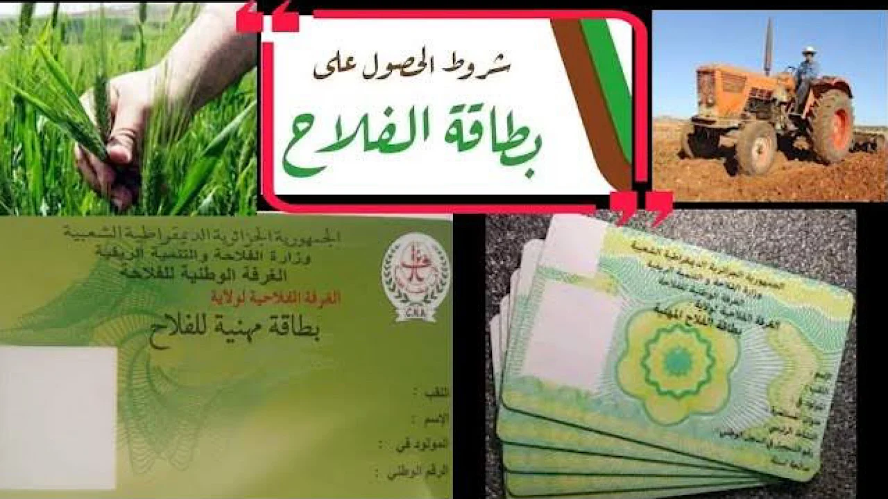 “لجميع الجزائريين”🚨.. طريقة الحصول على بطاقة الفلاح من وزارة الزراعة الجزائرية 2025 وقروض بمبالغ خيالية!!