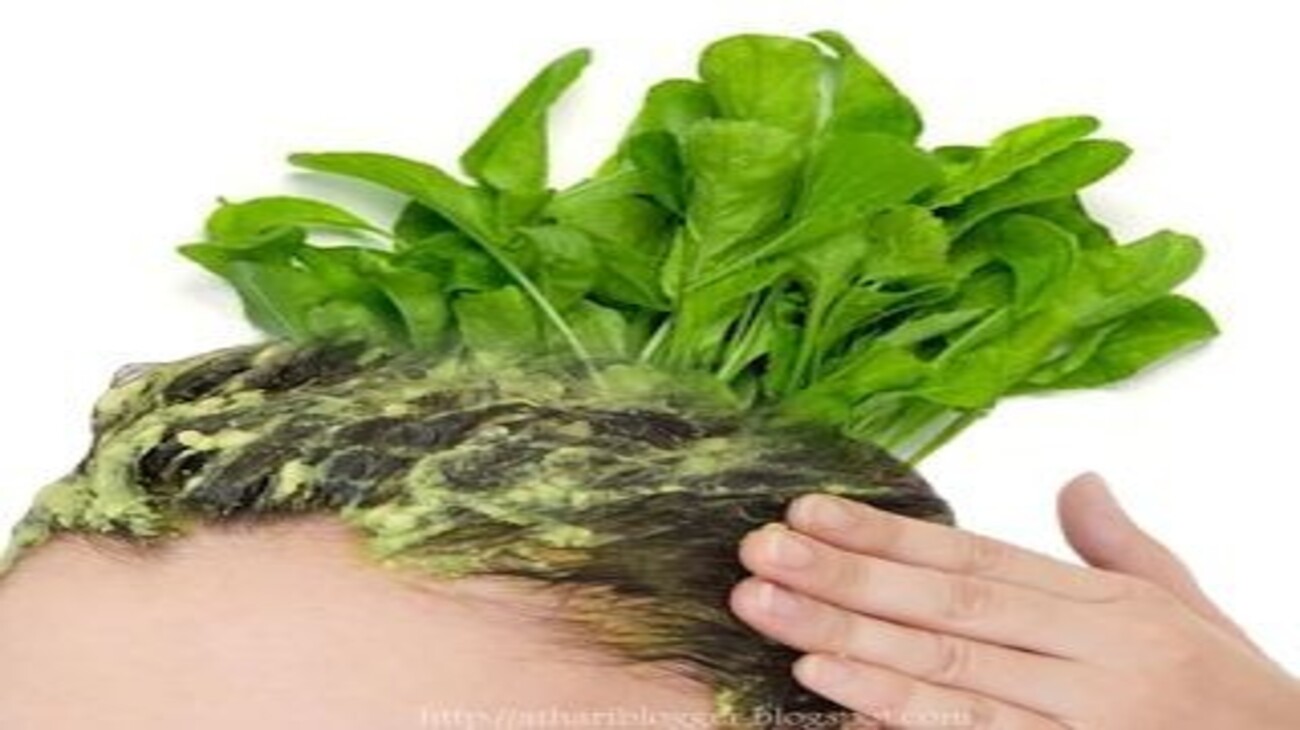 ماسك الجرجير: سر نمو الشعر وتعزيز صحته.. والفرق من اول اسبوع 