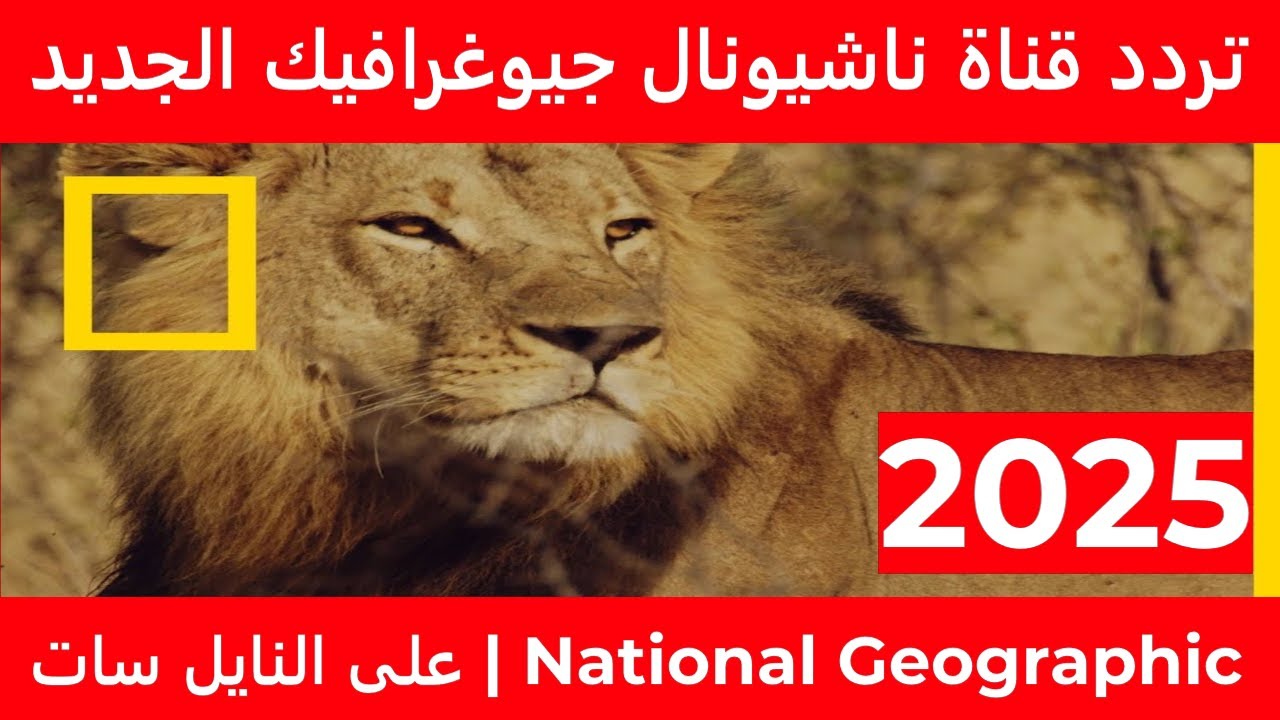 استقبل تردد قناة ناشيونال جيوغرافيك National Geographic على النايل سات وعرب سات بجودة HD