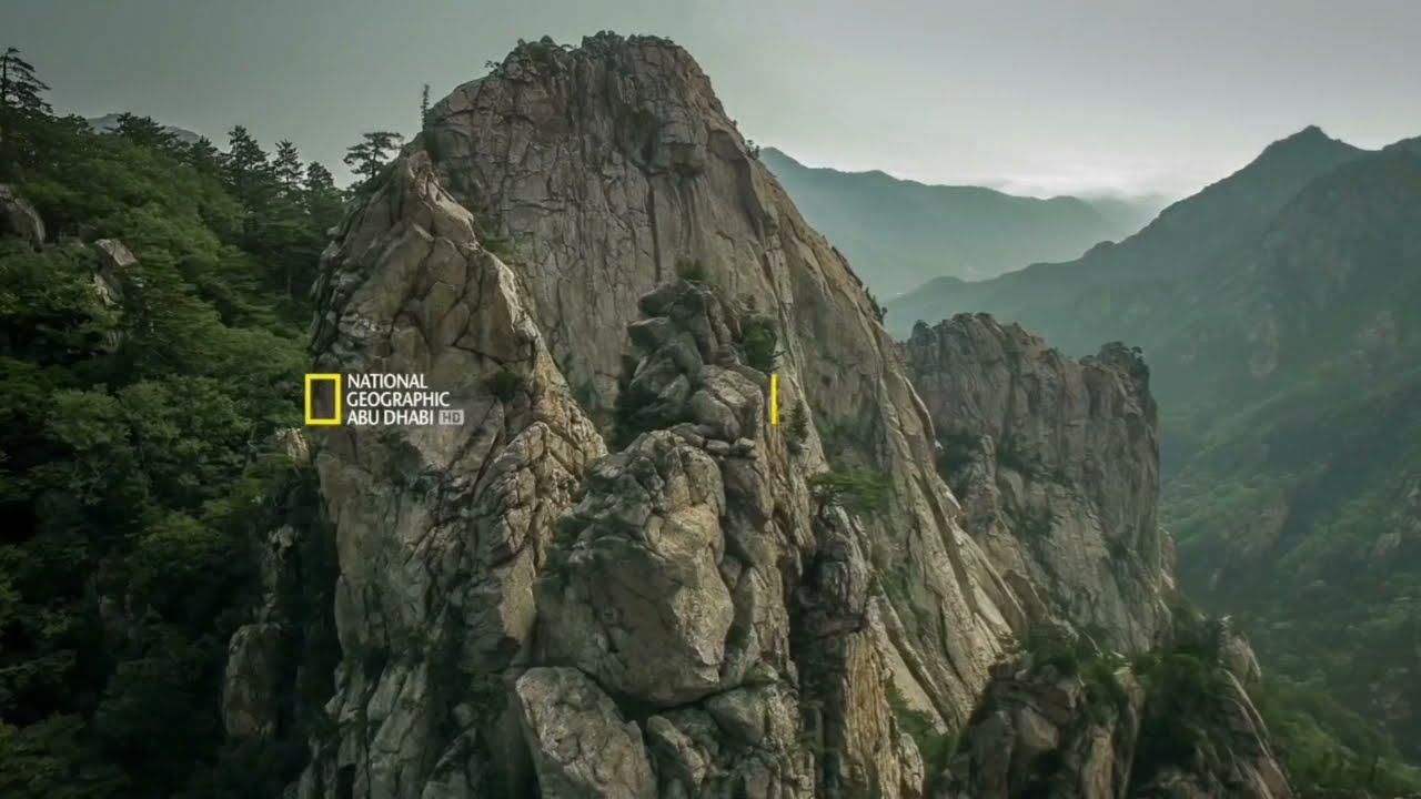 استكشف العالم الخارجي .. تردد قناة ناشيونال جيوغرافيك 2025 National Geographic Abu Dhabi