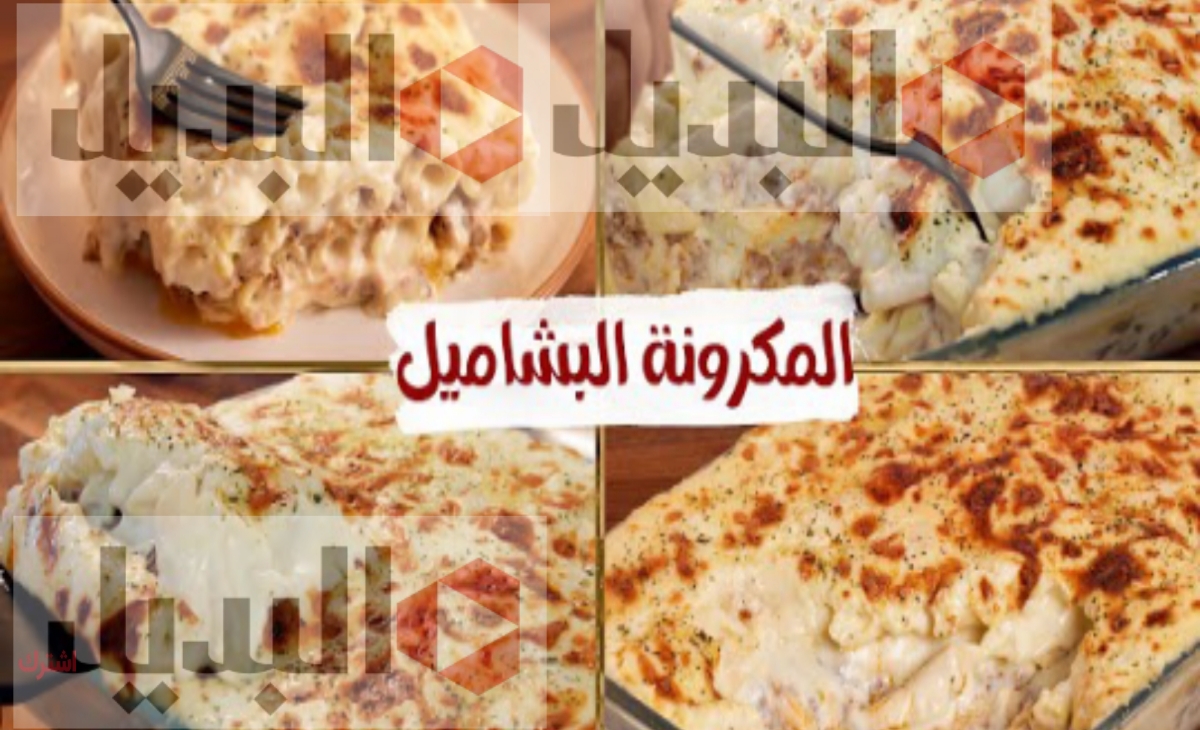 خطوات عمل المكرونة البشاميل بطريقة سريعة ومميزة للحصول على أفضل طعم صحي 100%
