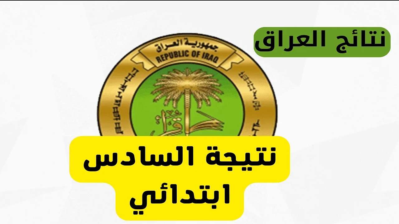 “رابط مباشر results.mlazemna.com“ نتائج السادس الابتدائي 2025 موقع نتائجنا الدور الأول فور اعلانها