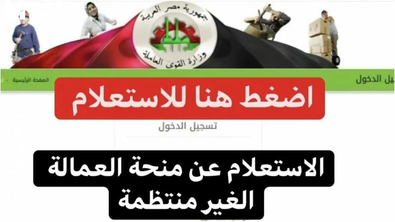 تحقق إذا كنت مستحق أم لا.. الاستعلام عن منحة العمالة الغير منتظمة 2025