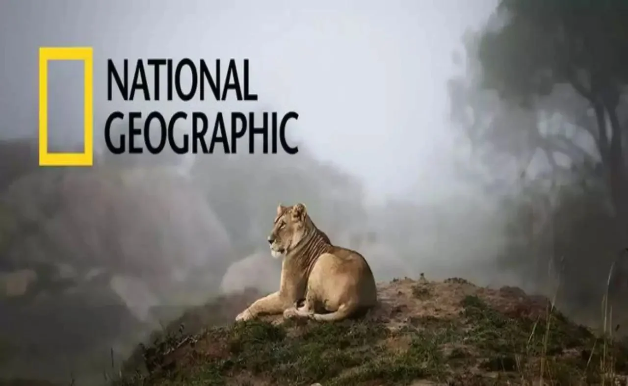 ثبت تردد قناة ناشيونال جيوغرافيك National Geographic على نايل سات والعرب سات