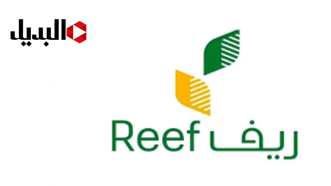 ما هي شروط دعم ريف للأسر المنتجة والنساء والمتقاعدين؟ والأوراق المطلوبة