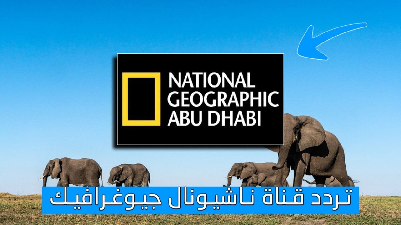 طبيعة بلا حدود.. تردد قناة ناشيونال جيوغرافيك 2025 استقبلها الآن على كل الأقمار HD
