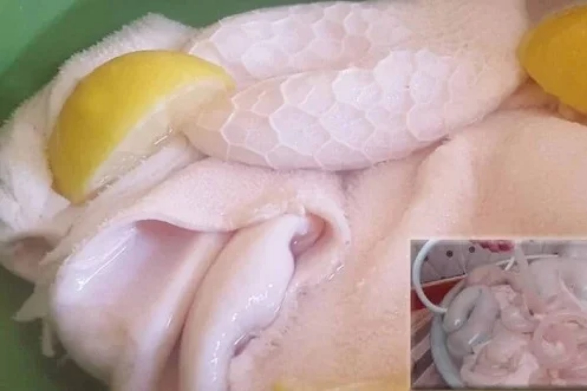 “في أسرع وقت” أسهل طريقة تنظيف الكرشة في المنزل خطوة بخطوة بأقل التكاليف