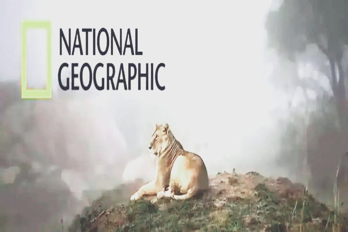 مغامرات بلا حدود.. نزل تردد قناة ناشيونال جيوغرافيك نايل سات 2025 الجديد