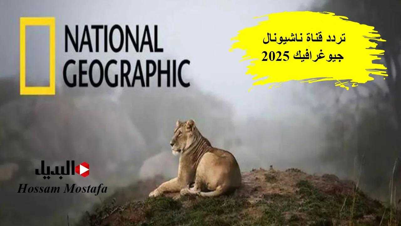 “عشاق عالم الحيوان والطبيعة”.. حمل الآن تردد قناة ناشيونال جيوغرافيك 2025 National Geographic واستمتع بالحياة البرية وأعماق البحار
