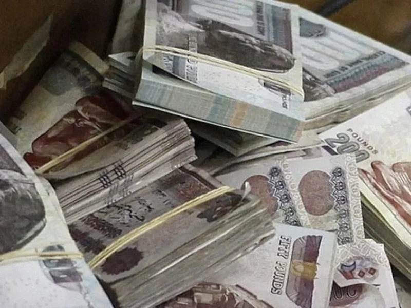 صرف الرواتب خلال أيام.. موعد صرف رواتب الموظفين يونيو 2025 وخطوات الاستعلام عن الرواتب