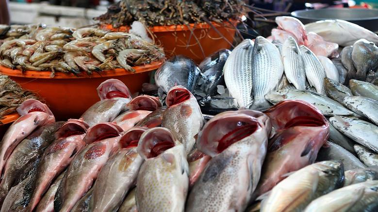 شوف البلطي بكام.. أسعار الأسماك اليوم الجمعة في السوق